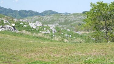 壮大な秋芳洞に冒険の景清洞。３億年の歴史カルスト台地は、スケールも大きかった。