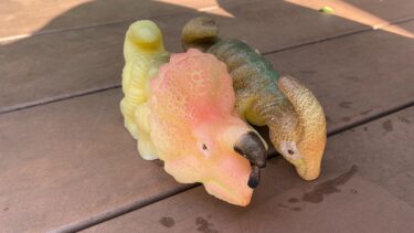 毎日の観察が楽しい。びっくりメガ恐竜のたまごのコツ。