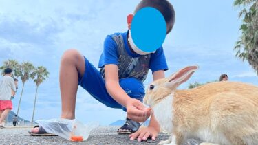 “毒ガス”と“ウサギ”と“海ホタル”。大久野島の雰囲気が鳥肌もの。